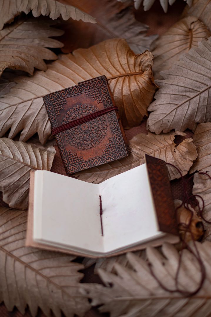 Diary unique gift